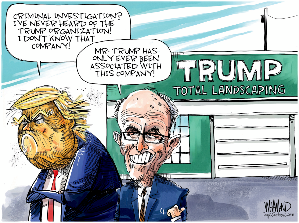 Trump Organization Investigation