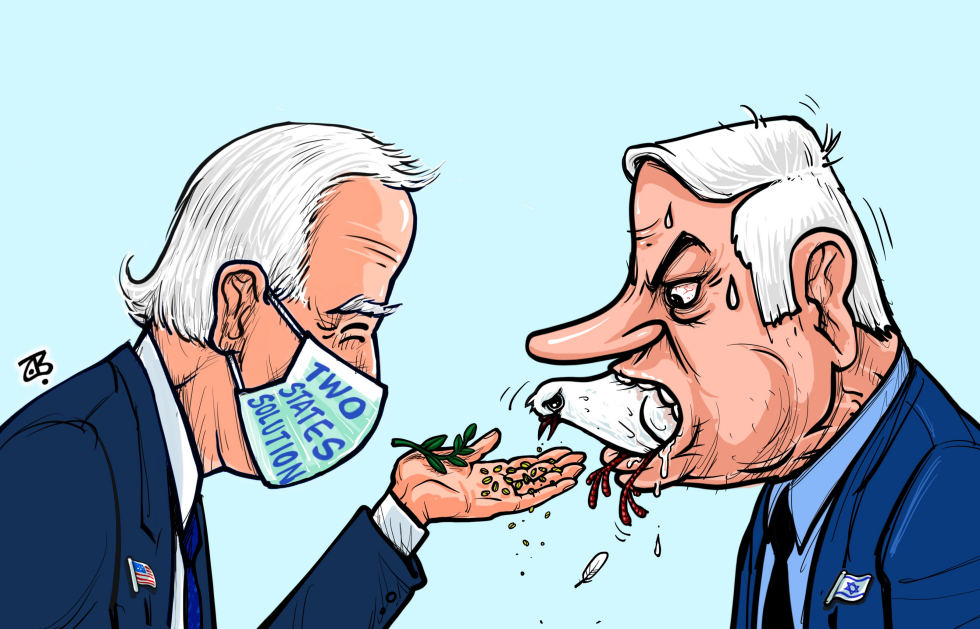 Seeds for the peace process