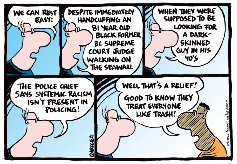 Systemic Racism in Policing