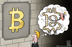 INVESTMENT OR ILLUSION by Luojie