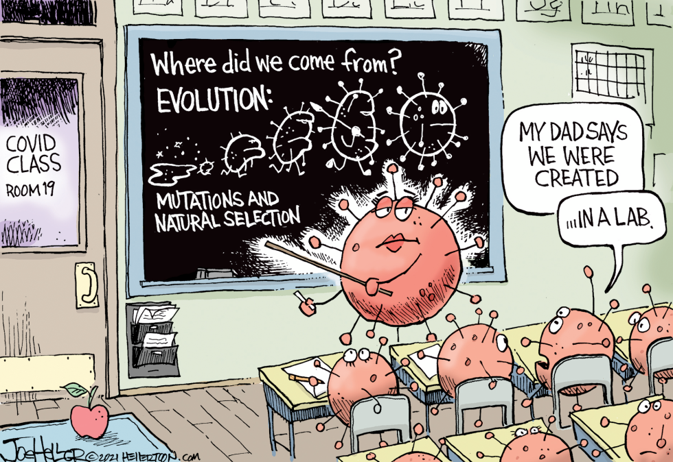 Virus origins