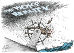WOKE STORM by Dick Wright