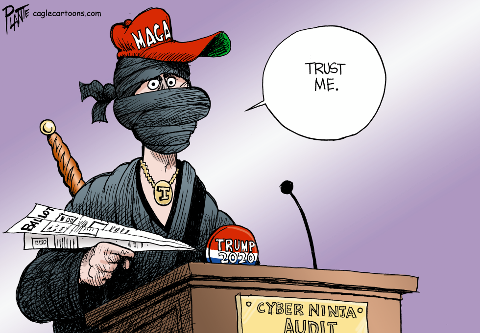 The Cyber Ninja Audit