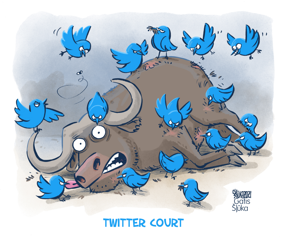 Twitter court
