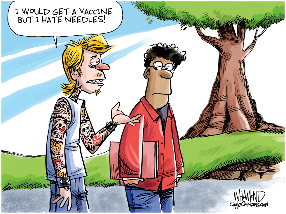 Vaccine hesitancy 2