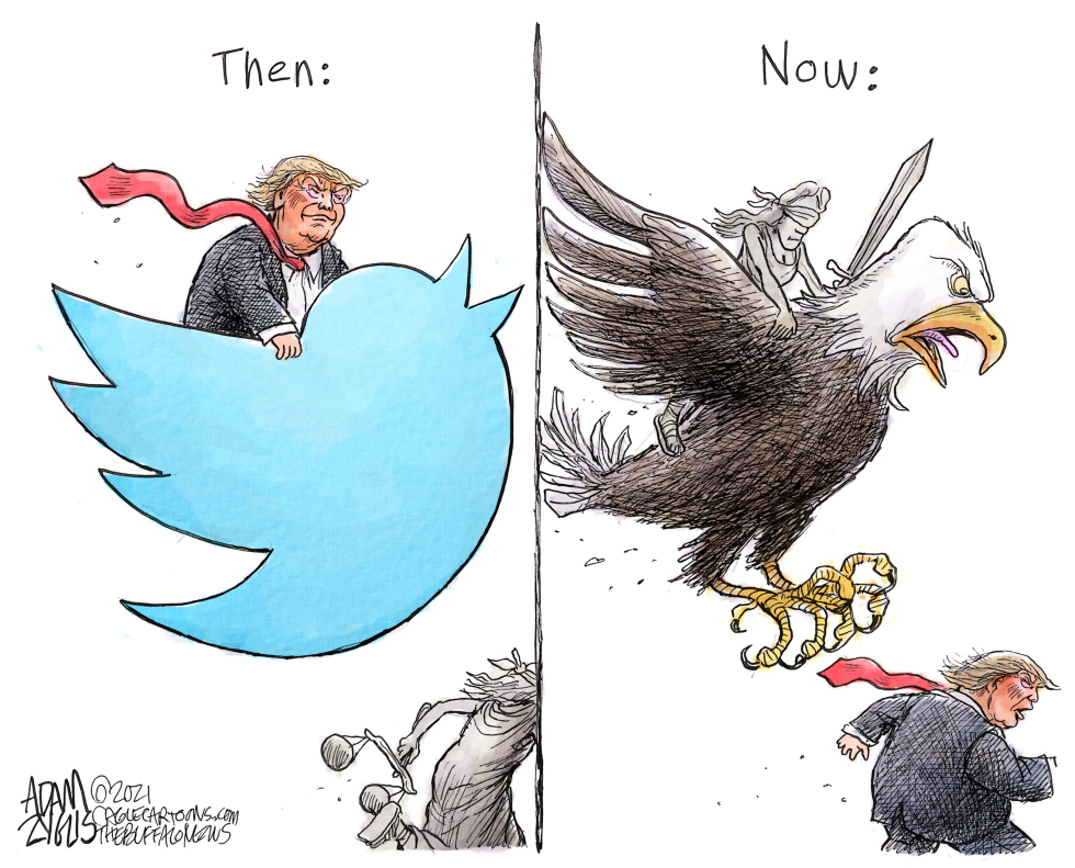 Birds of prey