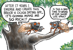 BROOD X CICADA INVASION by Jeff Koterba