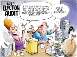 ENDLESS ELECTION AUDITS by Dave Whamond