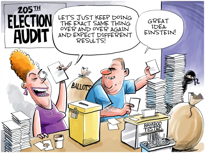 Endless Election Audits, Dave Whamond,Canada, PoliticalCartoons.com,Election audit,recount,Arizona,Maricopa county,Georgia,democracy,defintion of insanity,Einstein,push to review ballots,GOP states,votes,Election 2020,big lie,voter fraud,conspiracy theories,Trump falsehoods,cyber ninjas, bamboo,fundraising stunt, data
