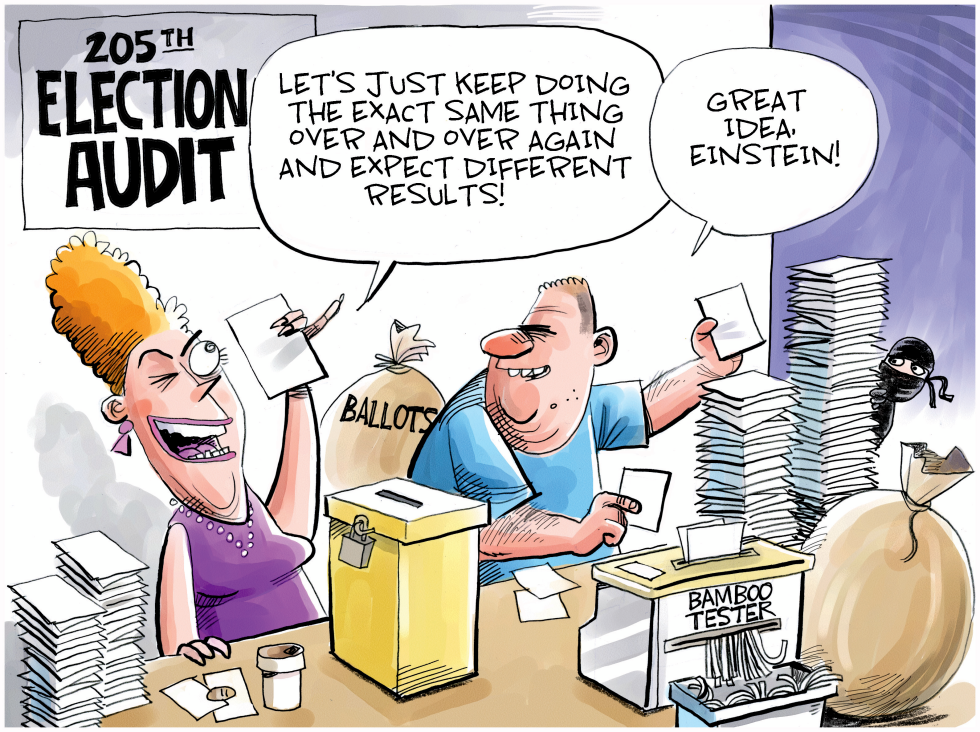 Endless Election Audits