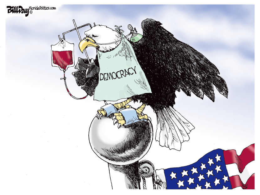 AMERICAN DEMOCRACY