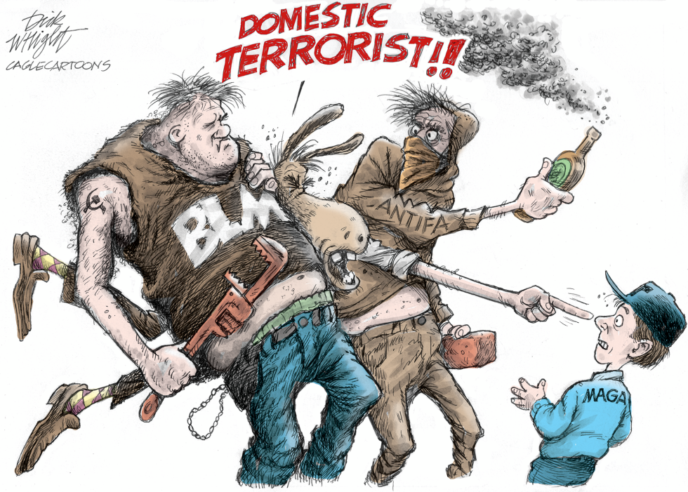 Domestic Terrorists