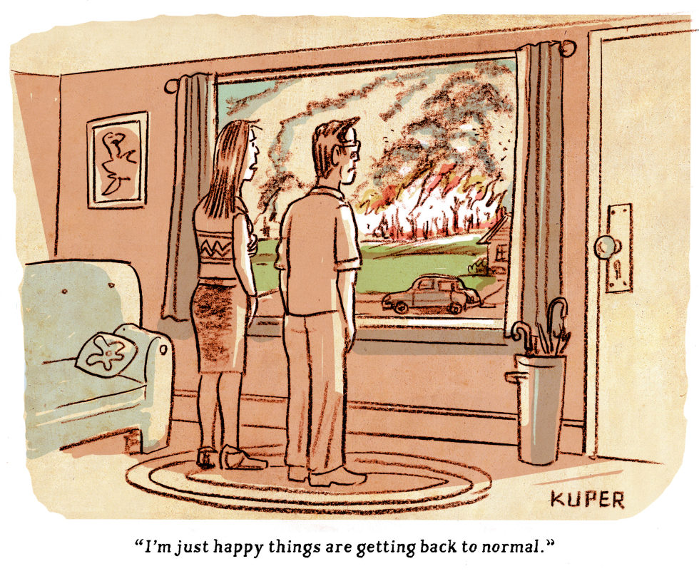 BACK TO NORMAL by Peter Kuper