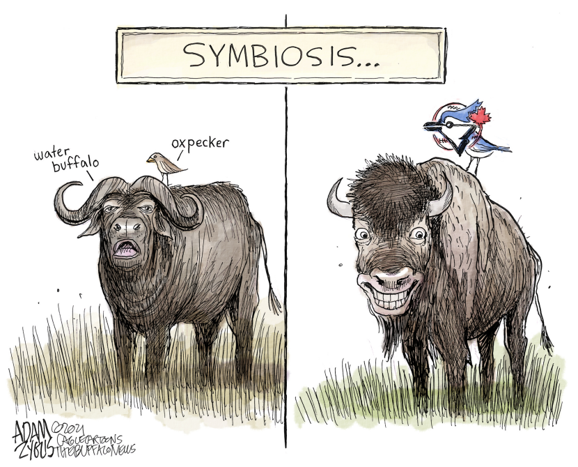 Buffalo Blue Jays