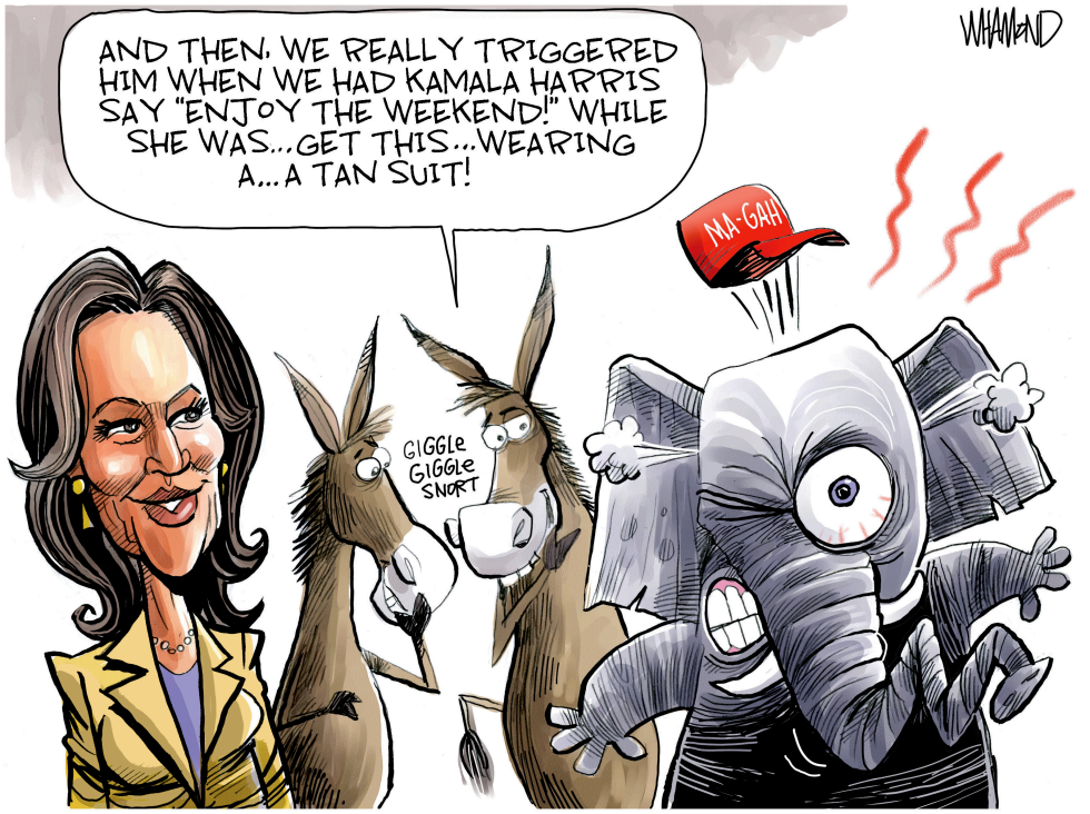Owning the MAGA crowd