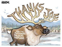 ANWR RESCUE by Steve Sack