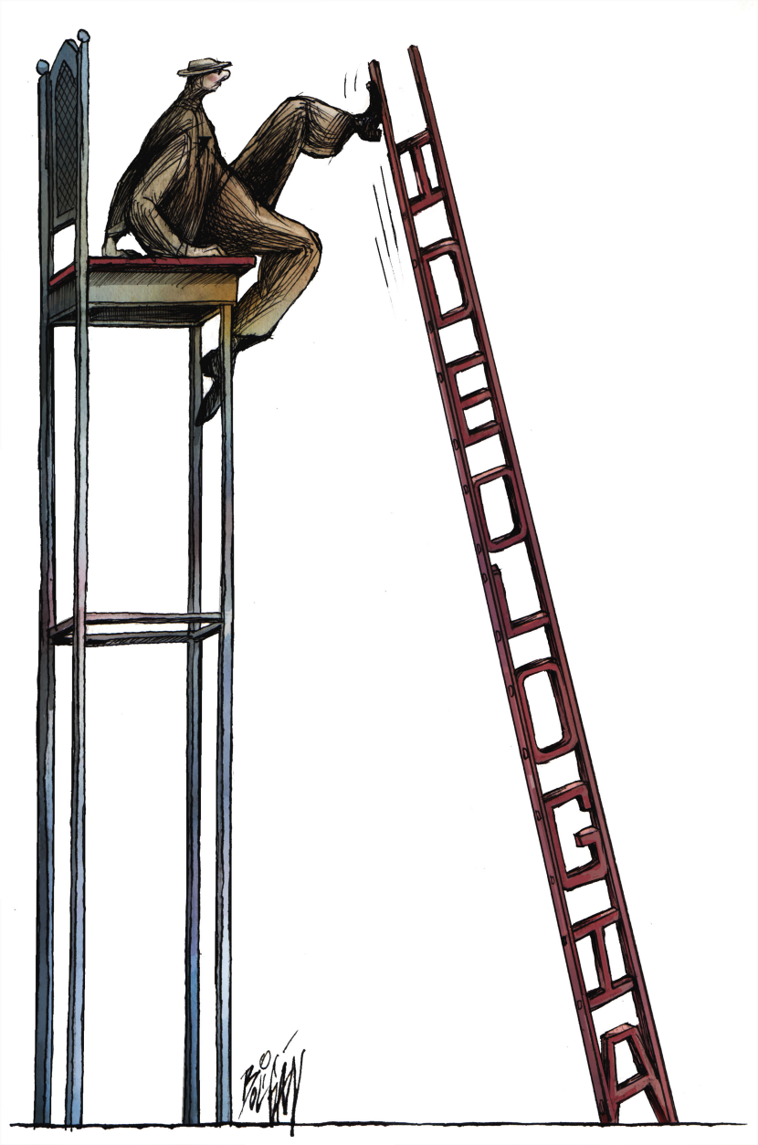 DISPOSABLE LADDER