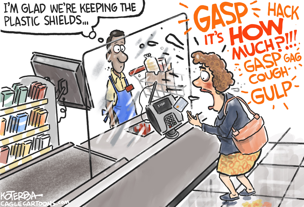 Rising Food Prices and Plastic Shields
