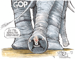 HOPING FOR BIPARTISANSHIP by John Darkow