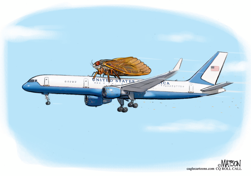 Cicadas On Air Force 2