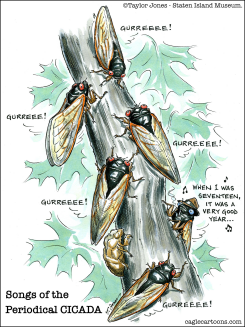 SONGS OF THE PERIODICAL CICADA -  by Taylor Jones