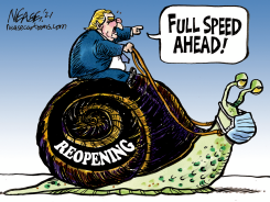REOPENING by Steve Nease