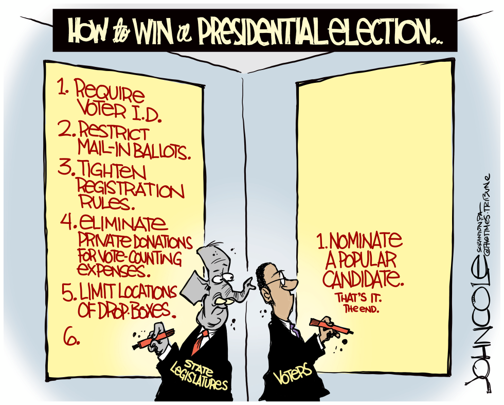 State legislatures and vote suppression