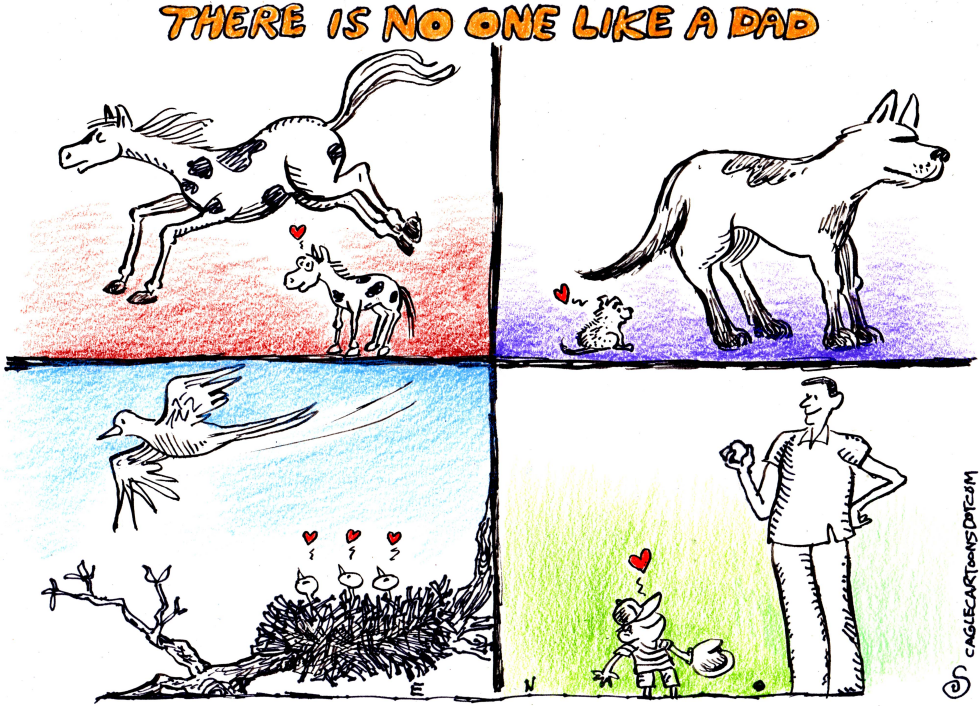 Dad's Day