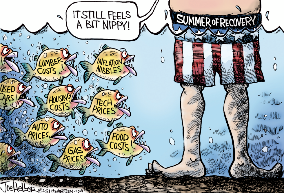 Inflation Nation