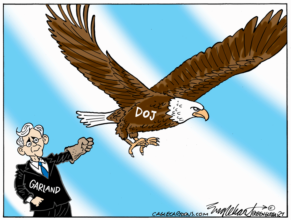 War On Domestic Terrorists
