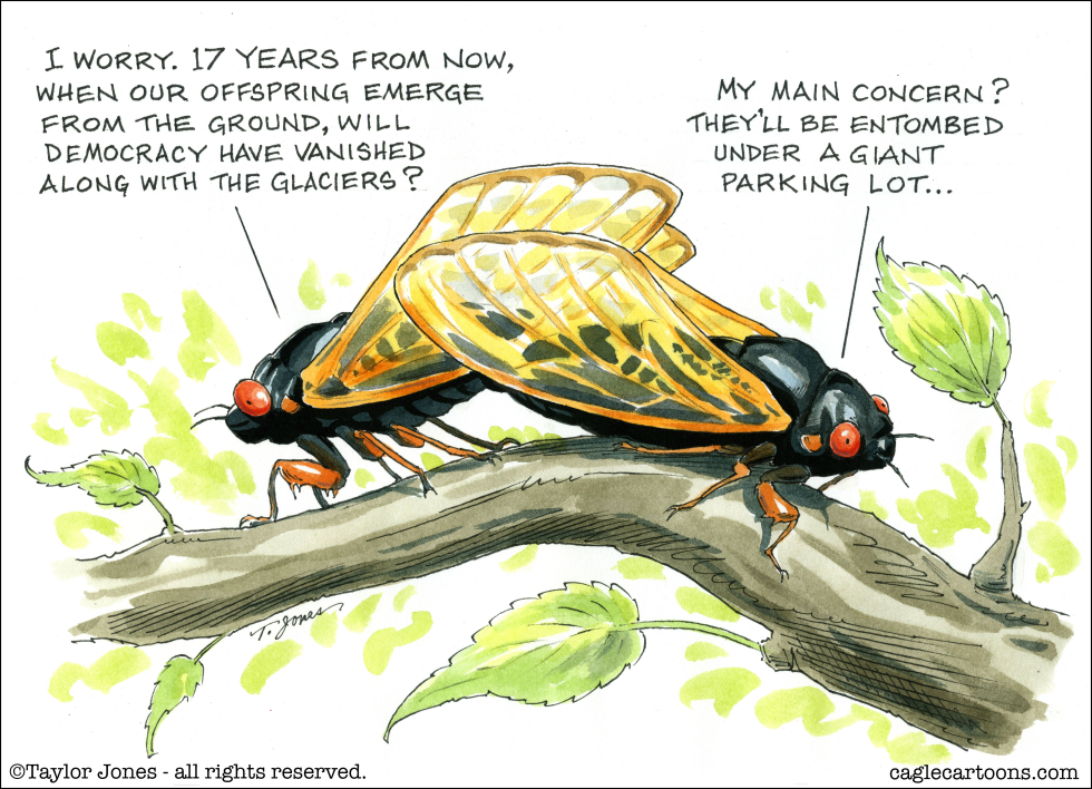 Periodical cicada angst