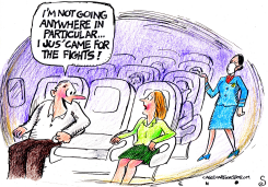 FIGHTS ON THE FLIGHTS by Randall Enos
