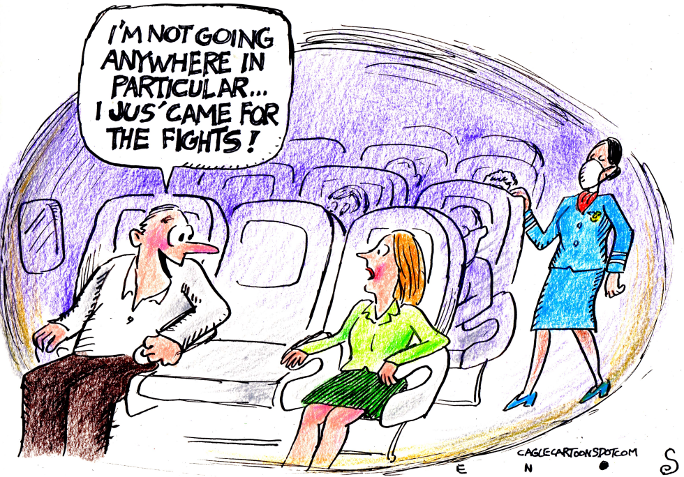 Fights On The Flights