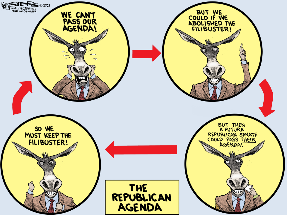 Democrat Confusion