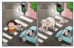 FROM PEDESTRIAN TO ELEPHANT CROSSING  by Luojie
