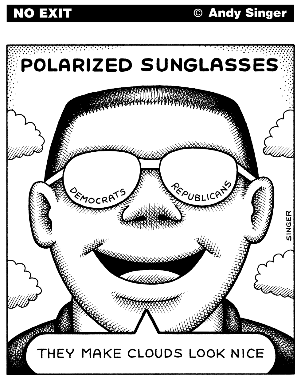 Polarized Sunglasses