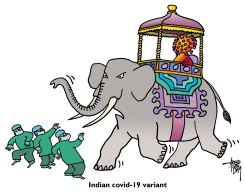 INDIAN COVID-19 VARIANT by Arend van Dam