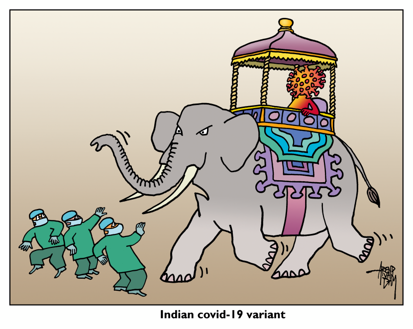 Indian covid-19 variant