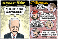 REASONABLE GUN CONTROL by Monte Wolverton