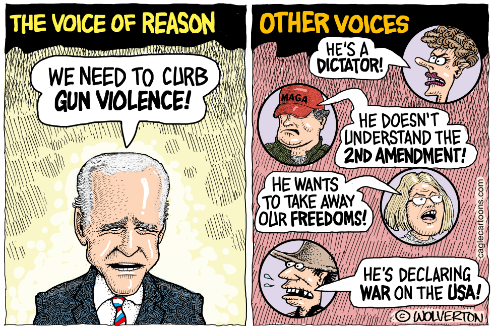 Reasonable Gun Control