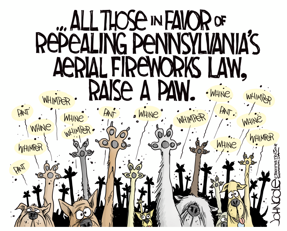 LOCAL PA - Fireworks law