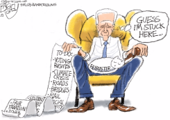 FILIBUSTER CAT by Pat Bagley