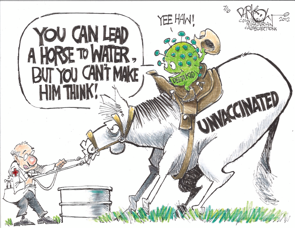 Lead a horse to water
