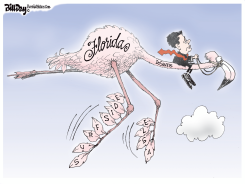 FLORIDA DISASTERS by Bill Day