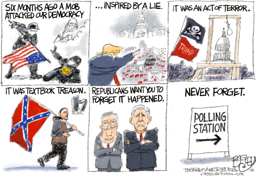 Capitol Insurrection