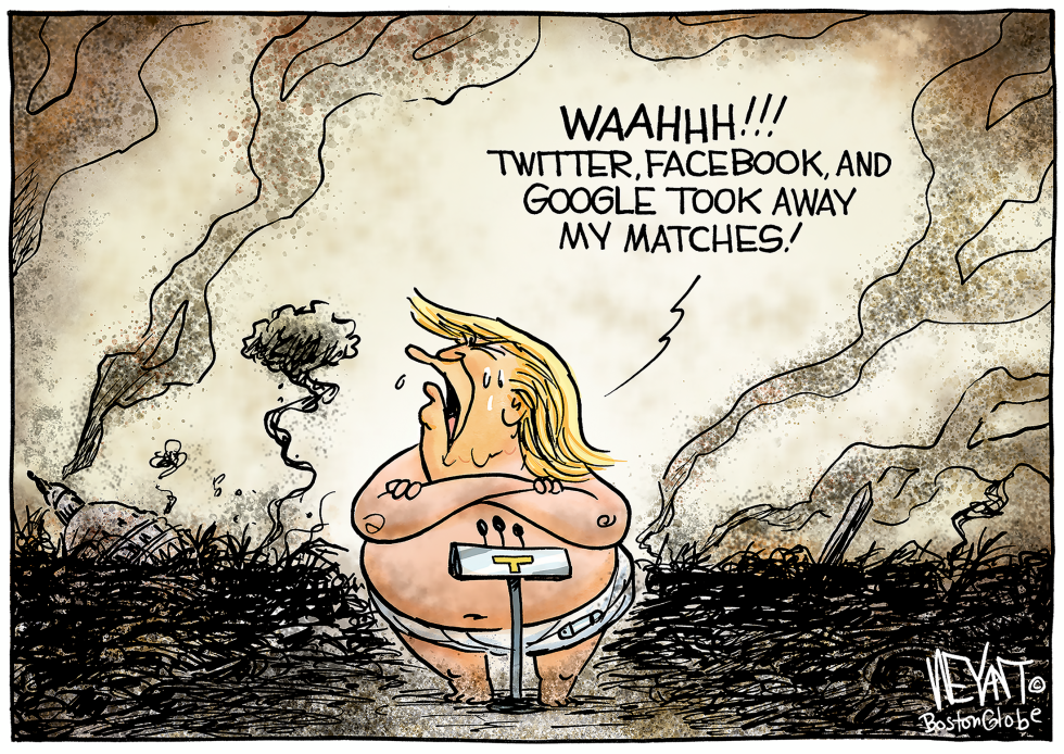 Big Tech Baby