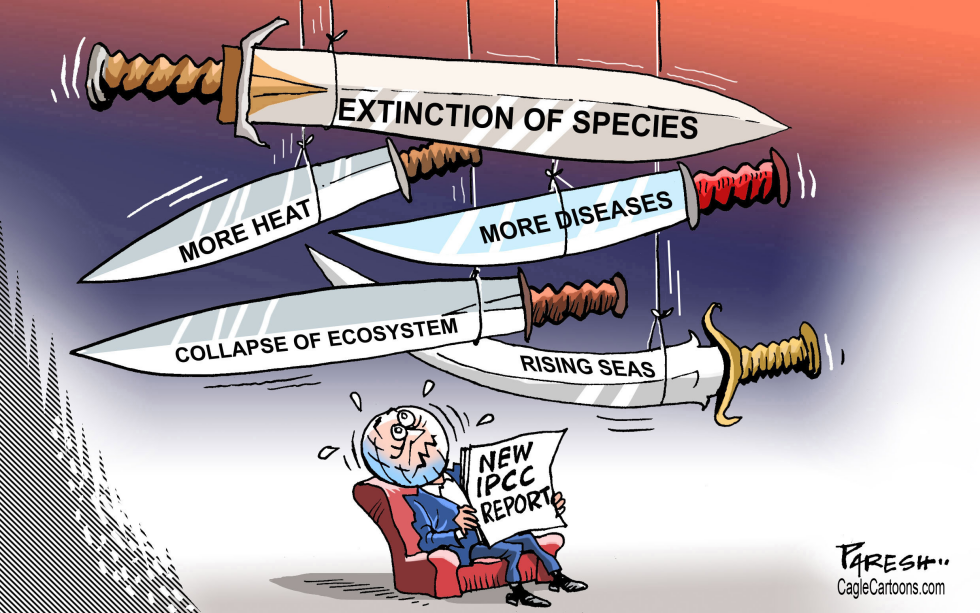 IPCC report on impacis