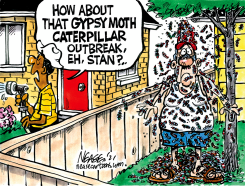 CATERPILLARS by Steve Nease