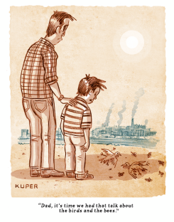 BIRDS AND BEES by Peter Kuper