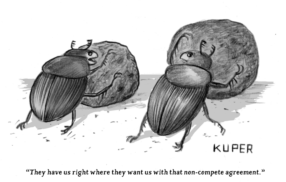 Non-Compete Agreement